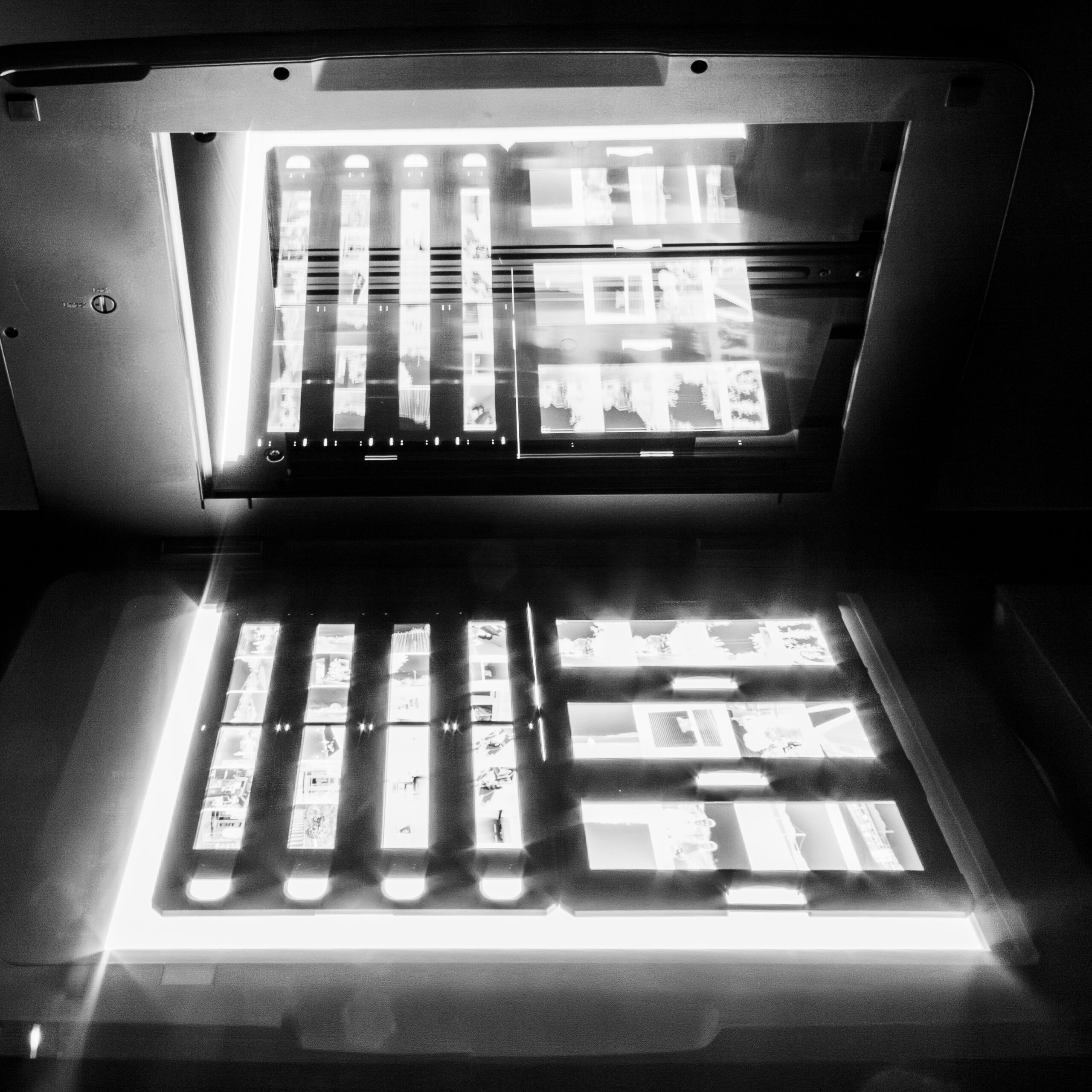 Scanning and Digitizing your Negatives and Slides Harvey Milk Photo