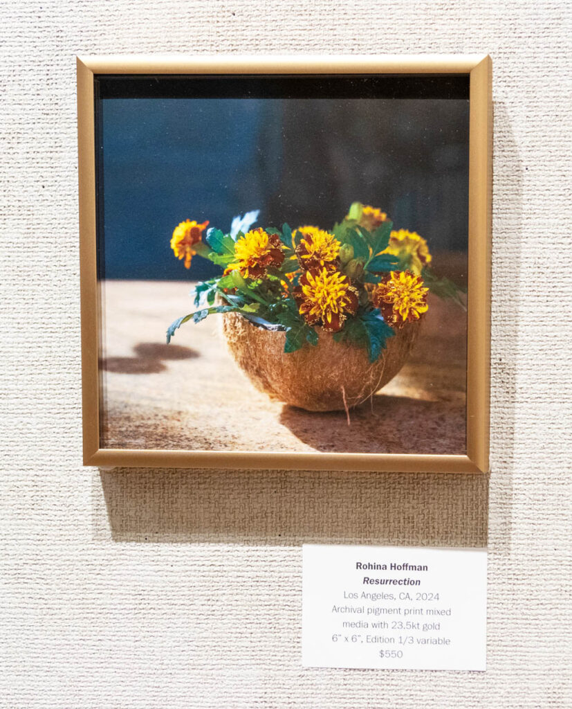 20251121_HMPC_Into_Complete_Unknown_005